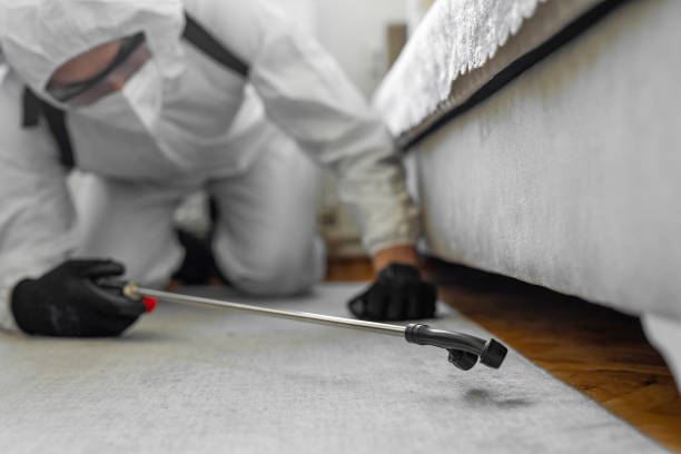 Professional Pest Control technician working in Summit, WA