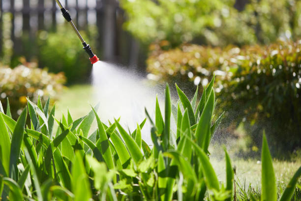 24/7 Emergency Pest Control experts in Summit, WA